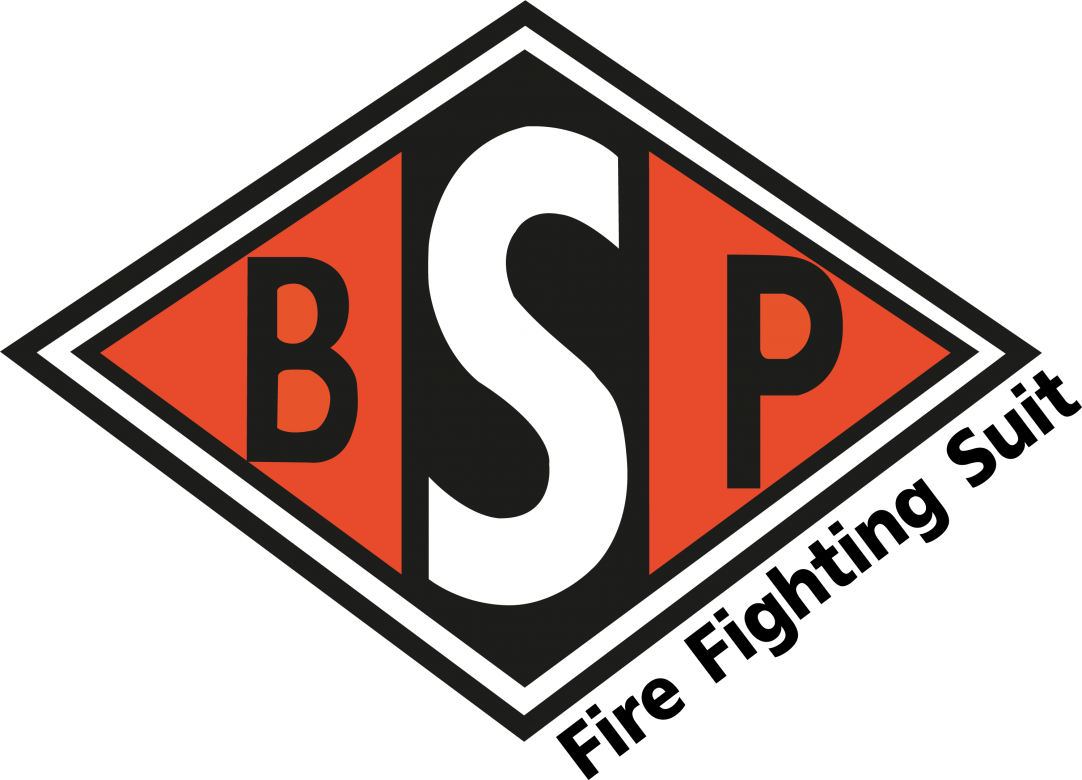 LOGO BSP EAGLE II